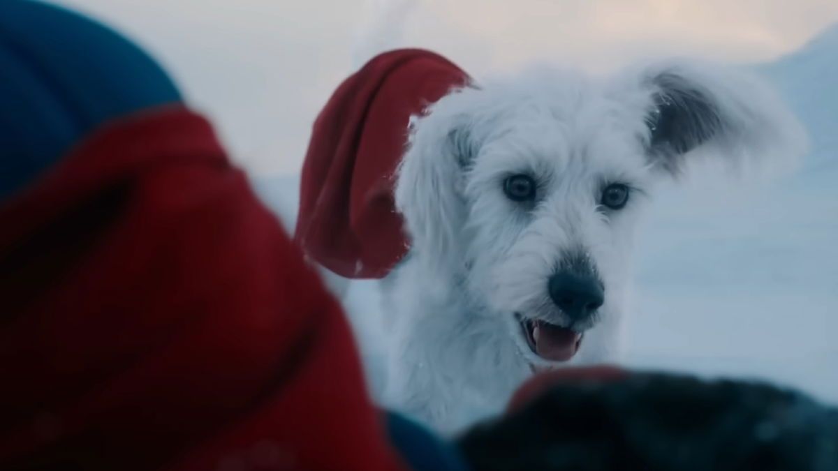 Krypto conquista corazones con la nueva línea de juguetes de la película de Superman de James Gunn