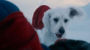 Krypto en Superman (2025)