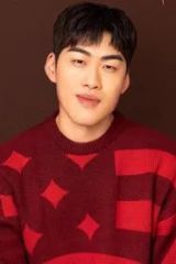 조진세