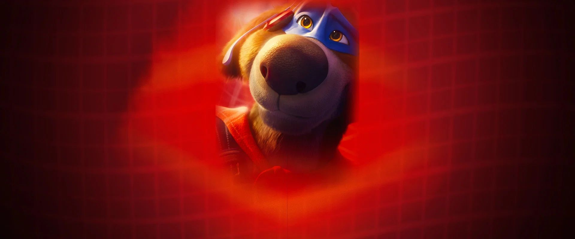 Charlie the Wonderdog