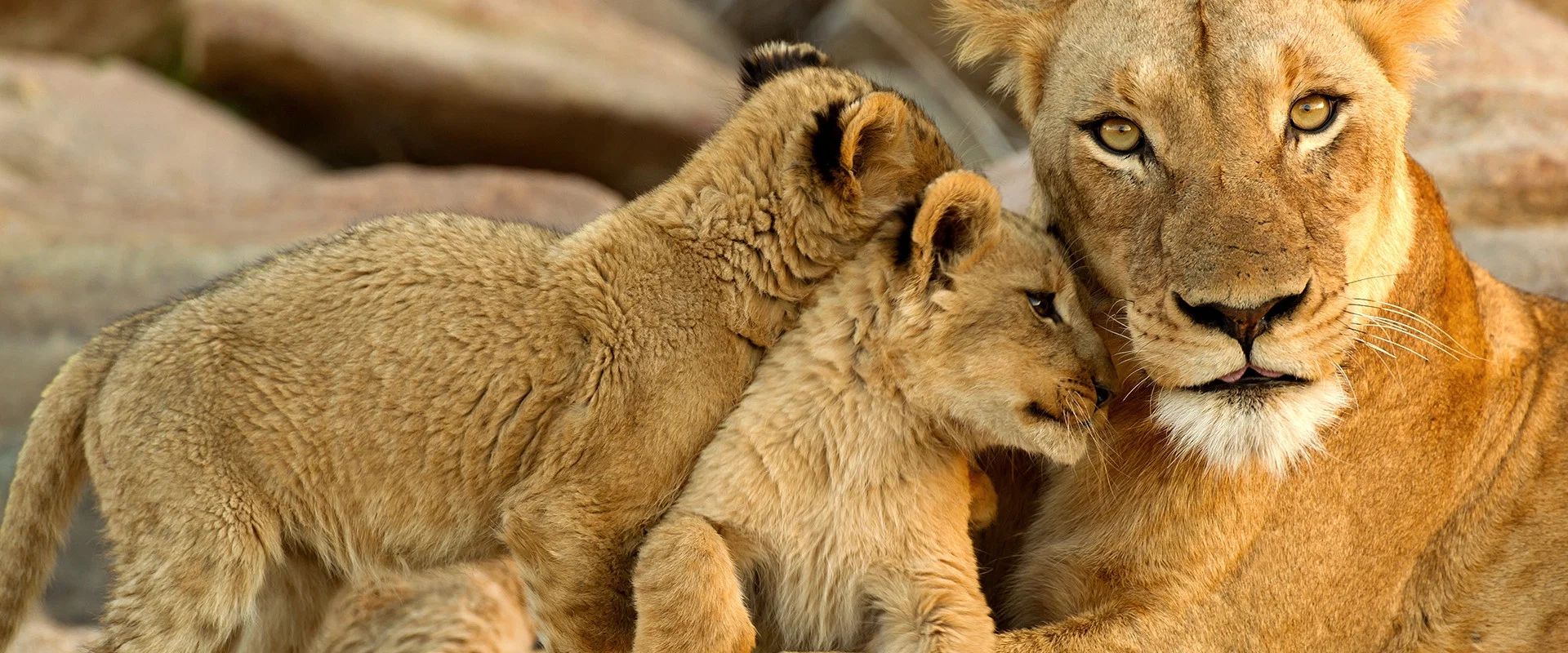 Mamas
