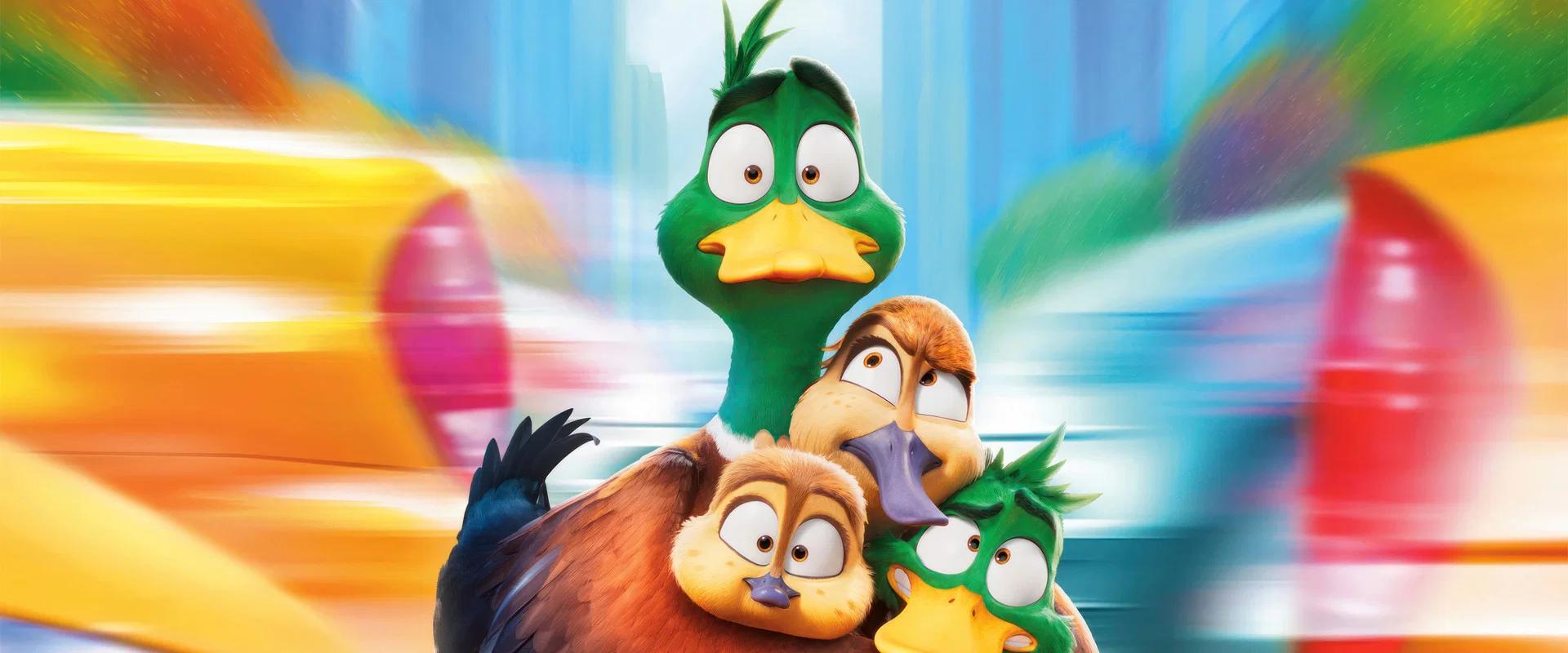 ¡Patos!