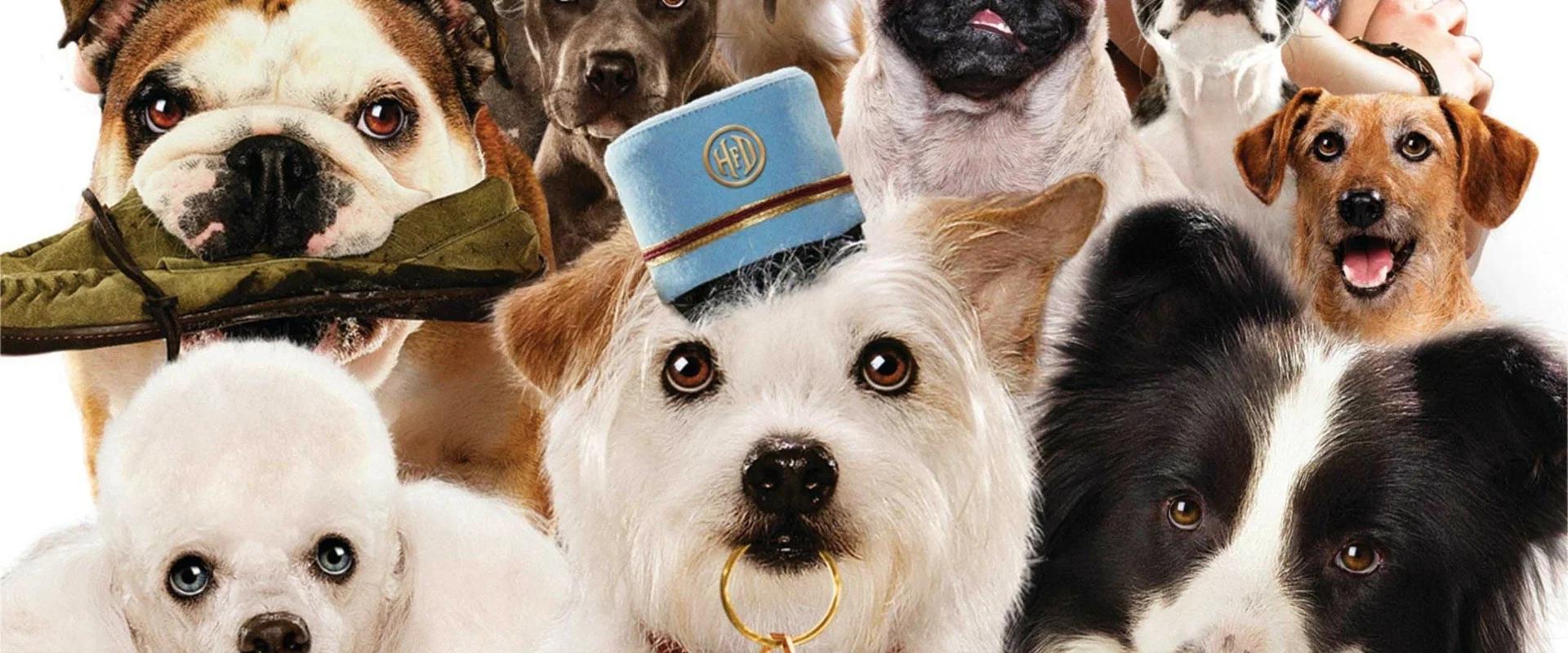 Hotel para Perros