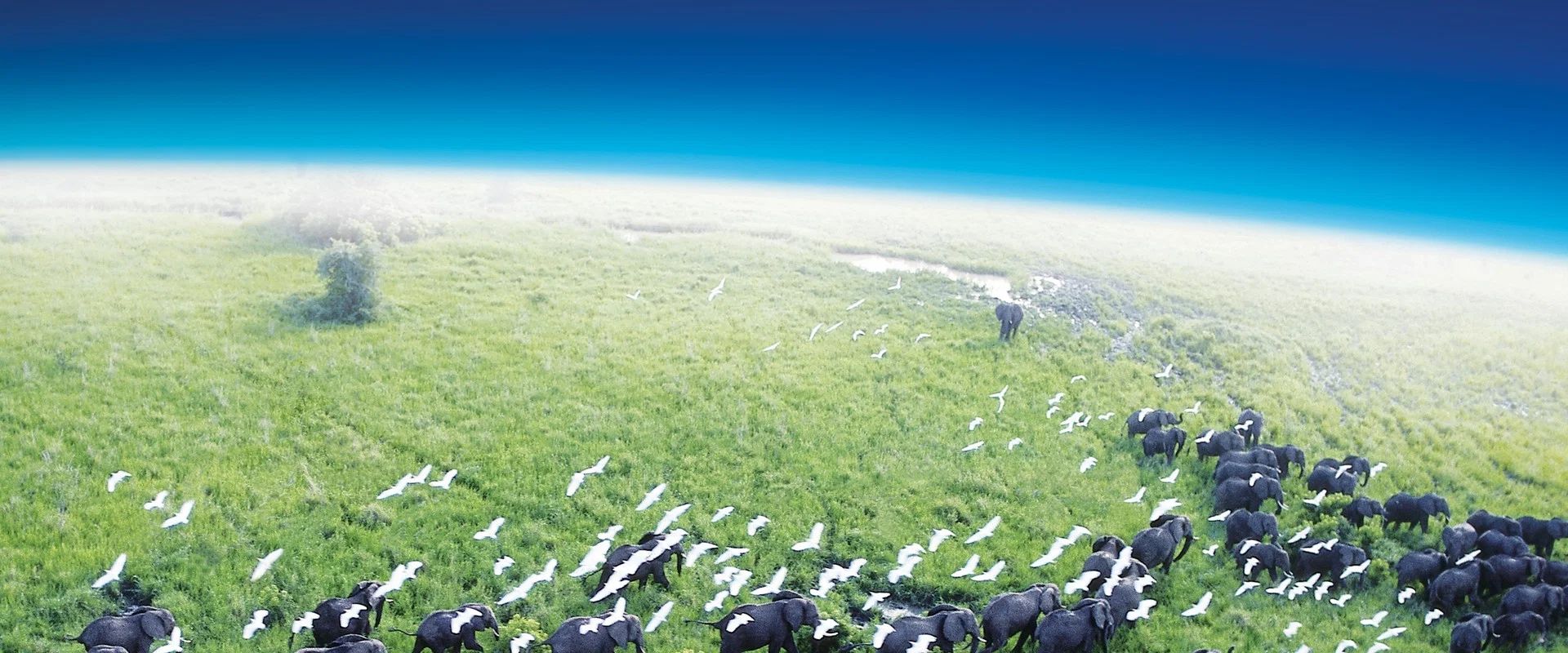 Planeta Tierra