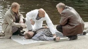 Fotograma del episodio 21: Episodio 21