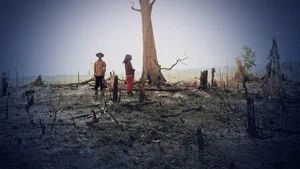 Fotograma del episodio 15: Episodio 15