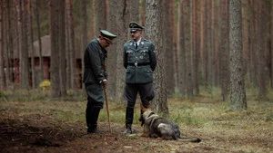 Fotograma del episodio 20: Episodio 20