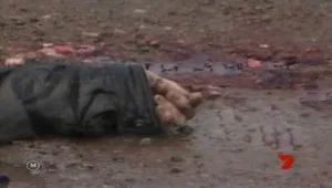 Fotograma del episodio 8: Episodio 8