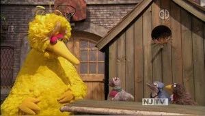 Fotograma del episodio 9: Episodio 9