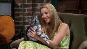 Fotograma del episodio 2: El gato