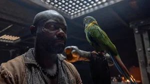 Fotograma del episodio 3: Episodio 3