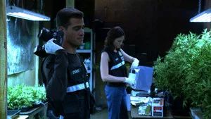 Fotograma del episodio 5: Migas de Chicle