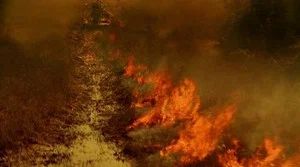 Fotograma del episodio 14: A fuego lento