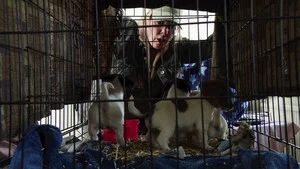 Fotograma del episodio 6: Episodio 6