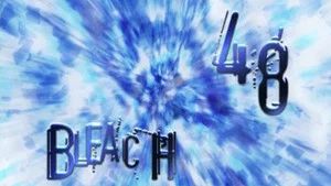 Fotograma del episodio 48: Hitsugaya, ¡Ruge!