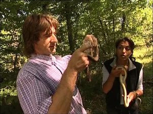 Fotograma del episodio 280: Episodio 280