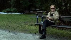 Fotograma del episodio 15: Episodio 15