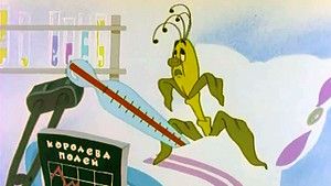Fotograma del episodio 9: Episodio 9