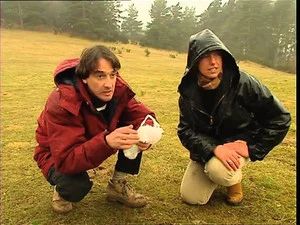 Fotograma del episodio 188: Episodio 188