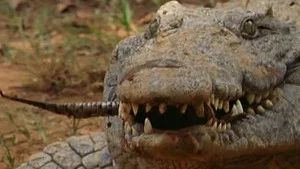 Fotograma del episodio 10: Episodio 10