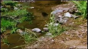 Fotograma del episodio 5: Episodio 5
