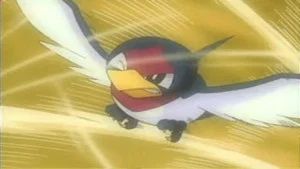 Fotograma del episodio 40: Convertido En Un Swellow