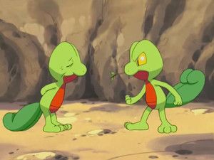 Fotograma del episodio 7: El Árbol De Treecko