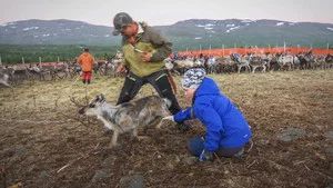 Fotograma del episodio 33: Episodio 33