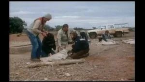 Fotograma del episodio 2: Episodio 2