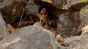 Fotograma del episodio 4: Episodio 4