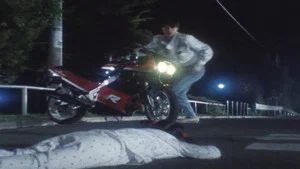 Fotograma del episodio 32: Episodio 32
