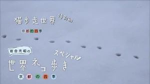 Fotograma del episodio 8: Episodio 8