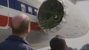 Fotograma del episodio 8: Episodio 8