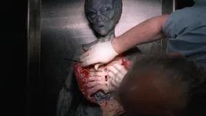Fotograma del episodio 24: Episodio 24