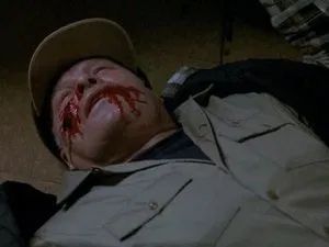 Fotograma del episodio 15: Episodio 15
