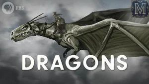 Fotograma del episodio 1: Episodio 1