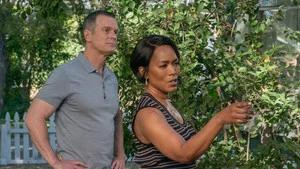 Fotograma del episodio 3: El diablo que conoces