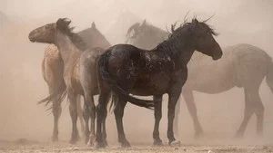 Fotograma del episodio 10: Episodio 10