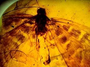 Fotograma del episodio 11: Episodio 11
