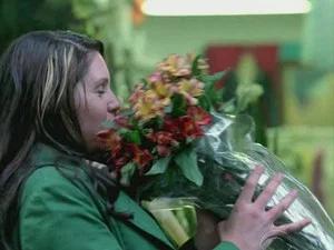 Fotograma del episodio 13: Episodio 13