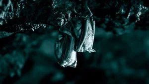 Fotograma del episodio 6: Episodio 6