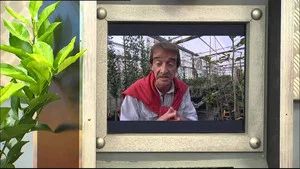 Fotograma del episodio 477: Episodio 477