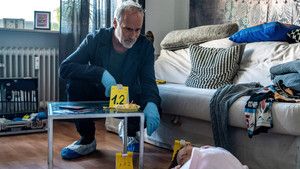 Fotograma del episodio 35: Episodio 35