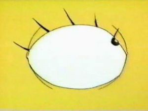 Fotograma del episodio 39: Episodio 39
