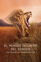 Secret World of Sound