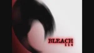 Fotograma del episodio 114: La reunión de Ichigo, Rukia y los Shinigami.