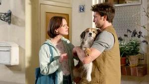 Fotograma del episodio 5: Episodio 5