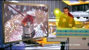 Fotograma del episodio 544: Episodio 544