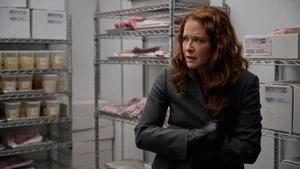 Fotograma del episodio 6: Episodio 6