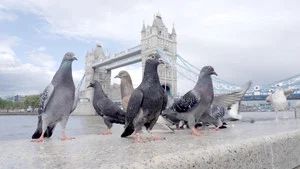 Fotograma del episodio 3: Episodio 3